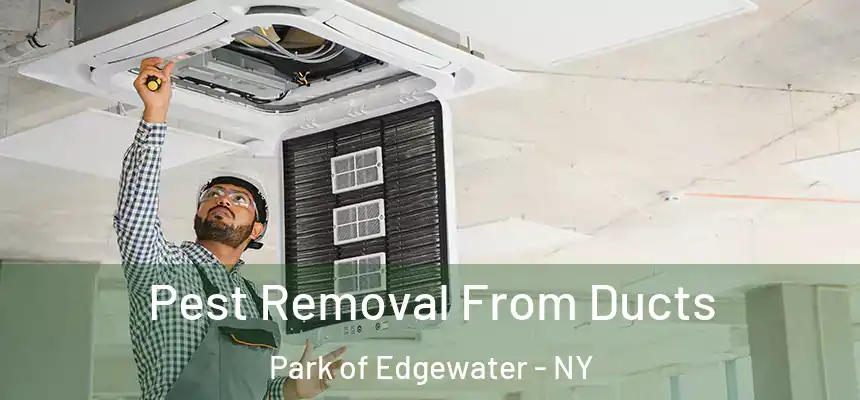  Pest Removal From Ducts Park of Edgewater - NY