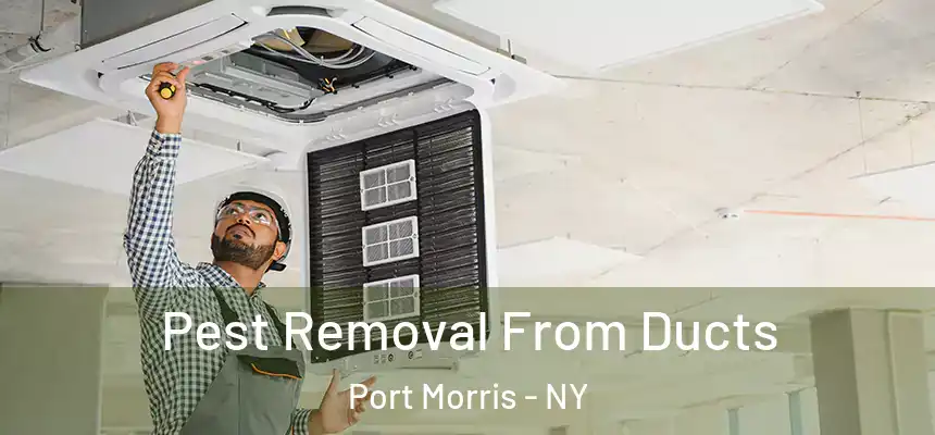 Pest Removal From Ducts Port Morris - NY
