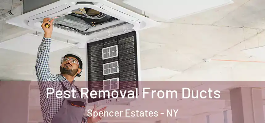Pest Removal From Ducts Spencer Estates - NY