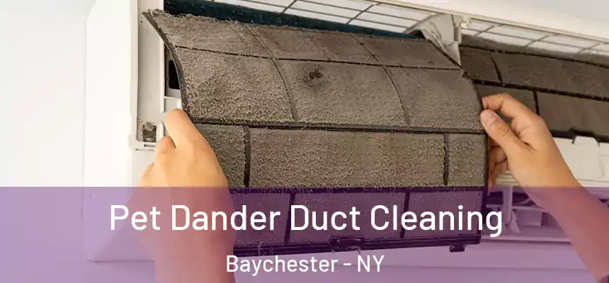 Pet Dander Duct Cleaning Baychester - NY