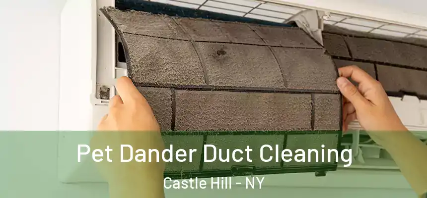 Pet Dander Duct Cleaning Castle Hill - NY