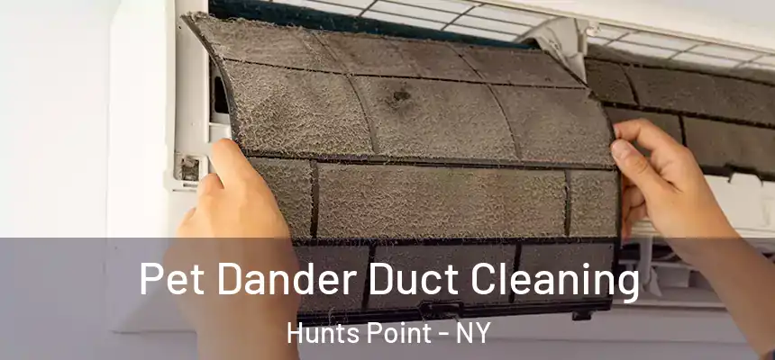 Pet Dander Duct Cleaning Hunts Point - NY