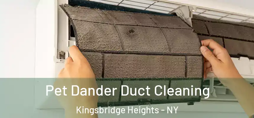  Pet Dander Duct Cleaning Kingsbridge Heights - NY