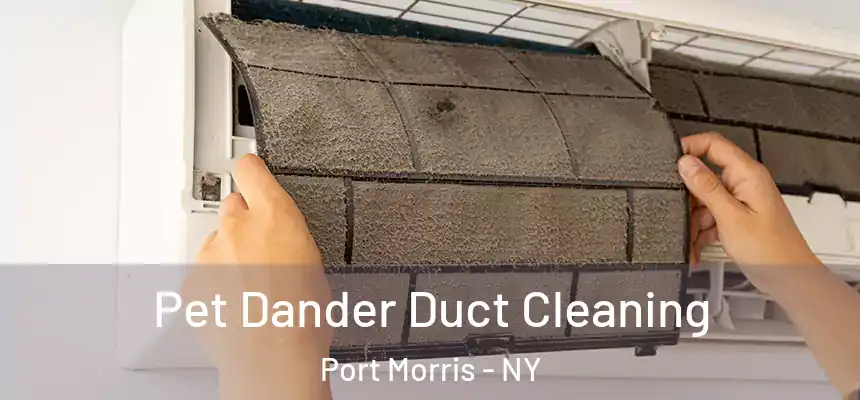 Pet Dander Duct Cleaning Port Morris - NY