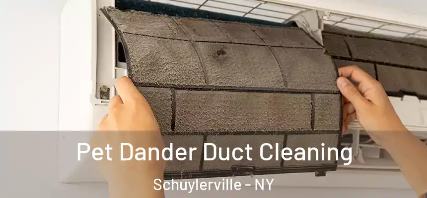  Pet Dander Duct Cleaning Schuylerville - NY