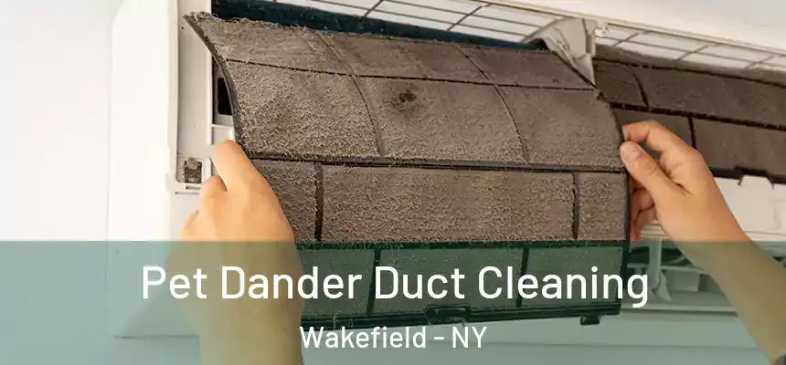 Pet Dander Duct Cleaning Wakefield - NY