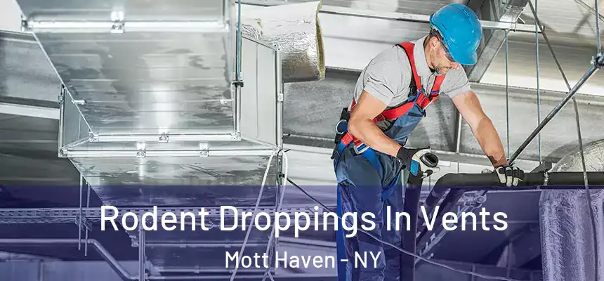  Rodent Droppings In Vents Mott Haven - NY