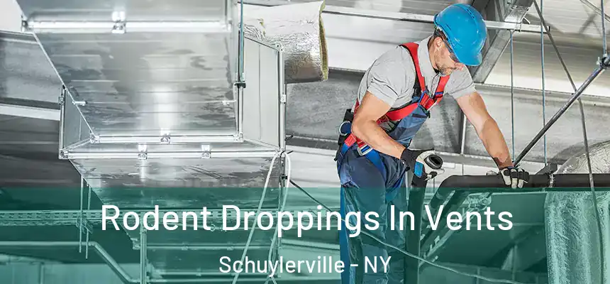  Rodent Droppings In Vents Schuylerville - NY