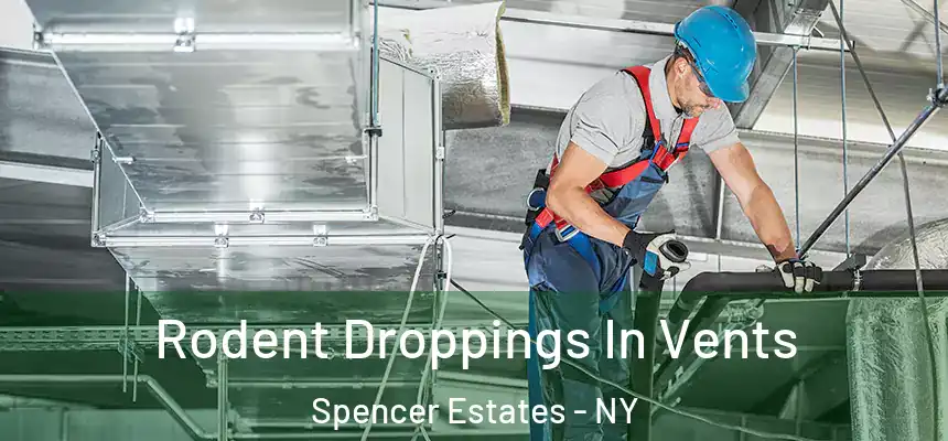  Rodent Droppings In Vents Spencer Estates - NY