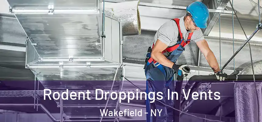 Rodent Droppings In Vents Wakefield - NY