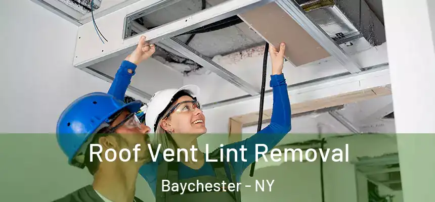  Roof Vent Lint Removal Baychester - NY