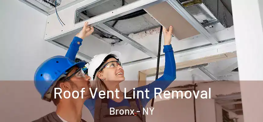 Roof Vent Lint Removal Bronx - NY