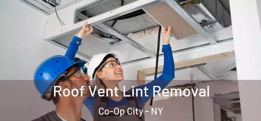  Roof Vent Lint Removal Co-Op City - NY