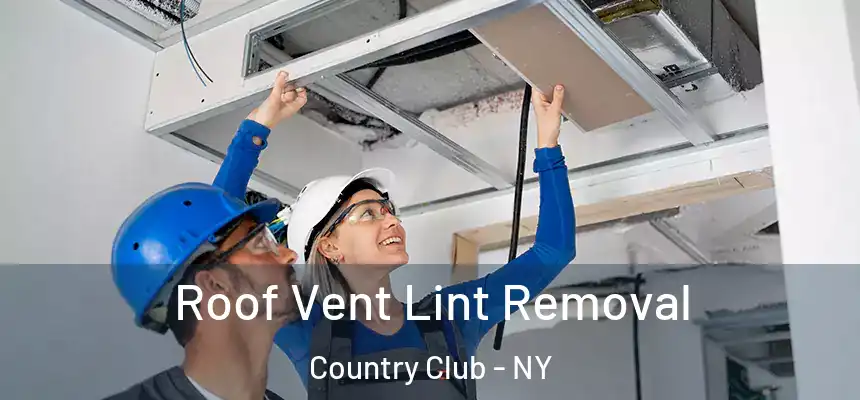  Roof Vent Lint Removal Country Club - NY