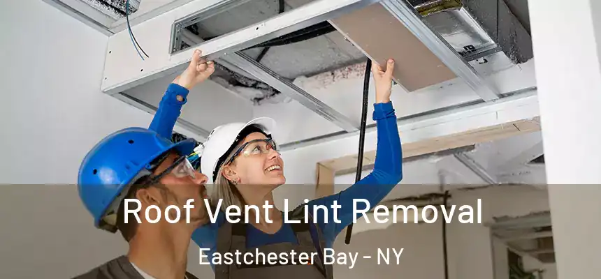  Roof Vent Lint Removal Eastchester Bay - NY
