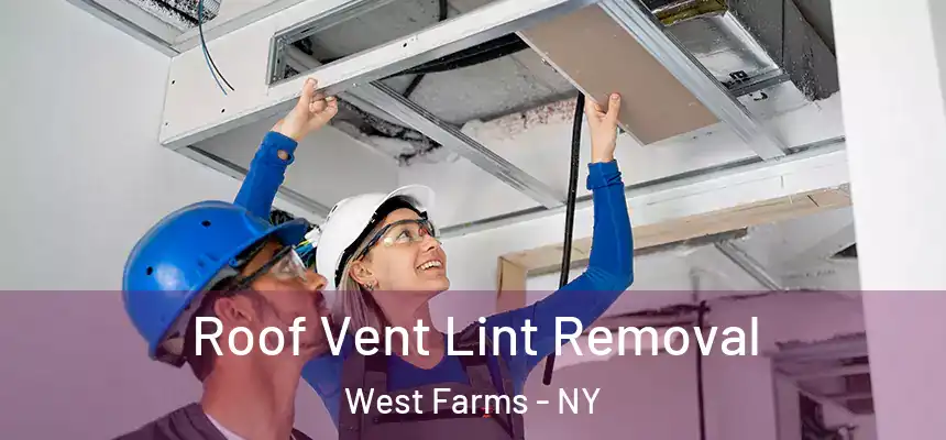Roof Vent Lint Removal West Farms - NY