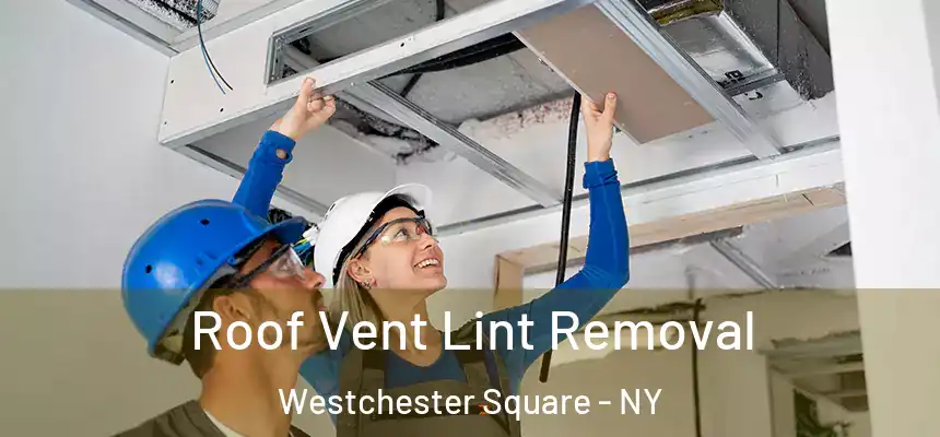  Roof Vent Lint Removal Westchester Square - NY