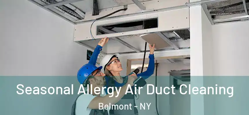 Seasonal Allergy Air Duct Cleaning Belmont - NY
