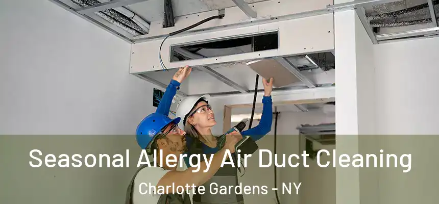 Seasonal Allergy Air Duct Cleaning Charlotte Gardens - NY