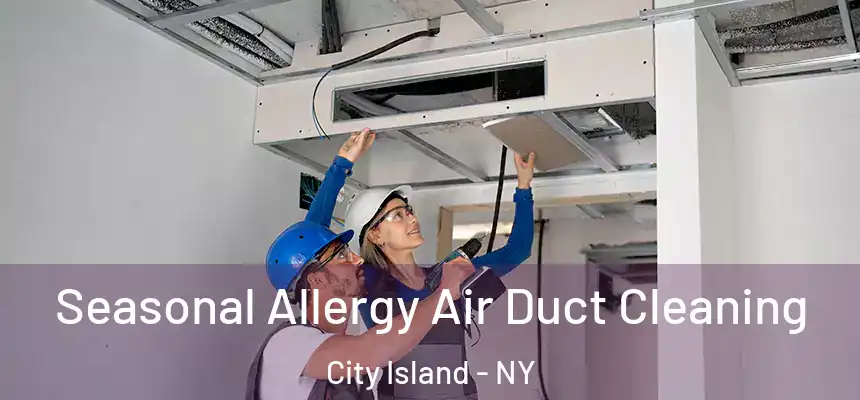 Seasonal Allergy Air Duct Cleaning City Island - NY