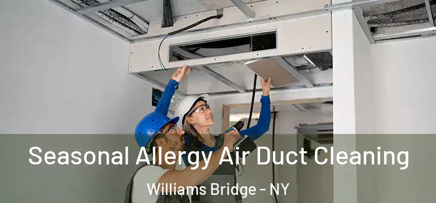  Seasonal Allergy Air Duct Cleaning Williams Bridge - NY