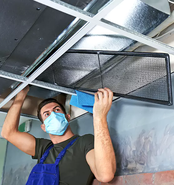 About Air Duct Bacteria Removal in Bronx
