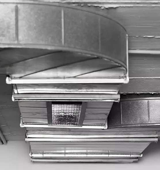 Professional Air Duct Pet Hair Removal in Bronx, NY