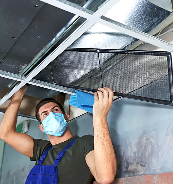 Professional Air Duct Pollen Cleaning in Bronx, NY