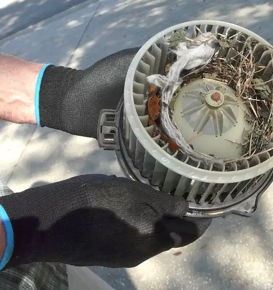 About Air Duct Rat Removal in Bronx, NY