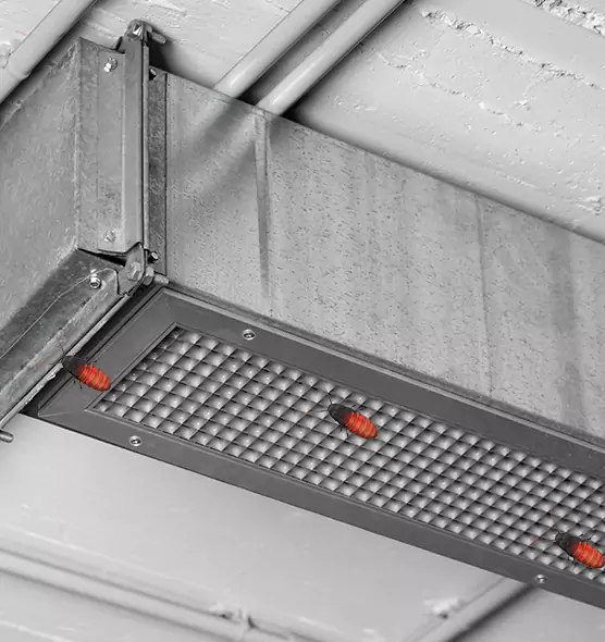 Affordable Insect Removal from Air Ducts in Bronx, NY