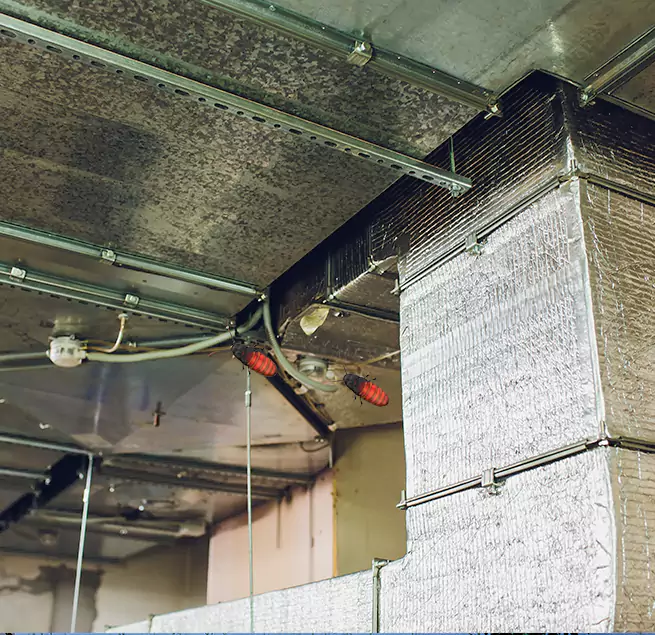 Why Homeowners & Businesses Trust Us in Bronx, NY?