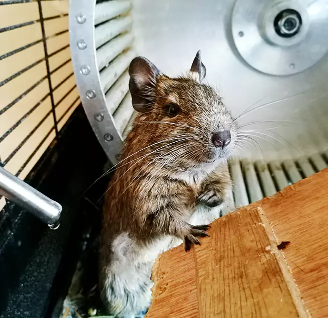 Why Homeowners & Businesses Trust Us Bronx, NY