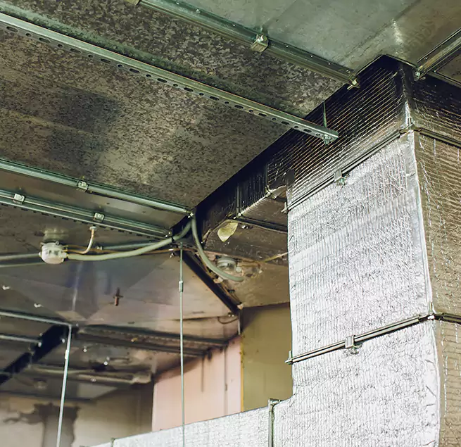 Why Homeowners & Businesses Trust Us in Bronx, NY?