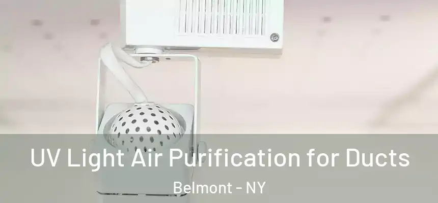  UV Light Air Purification for Ducts Belmont - NY
