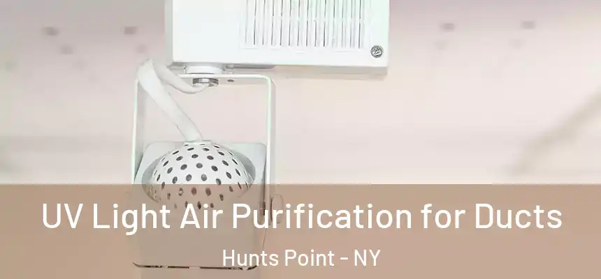  UV Light Air Purification for Ducts Hunts Point - NY