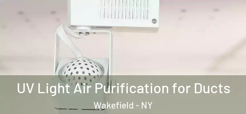 UV Light Air Purification for Ducts Wakefield - NY