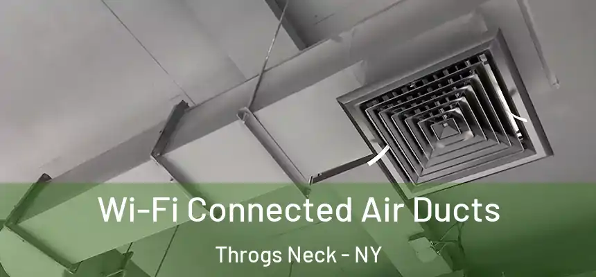 Wi-Fi Connected Air Ducts Throgs Neck - NY