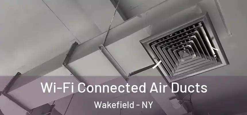 Wi-Fi Connected Air Ducts Wakefield - NY
